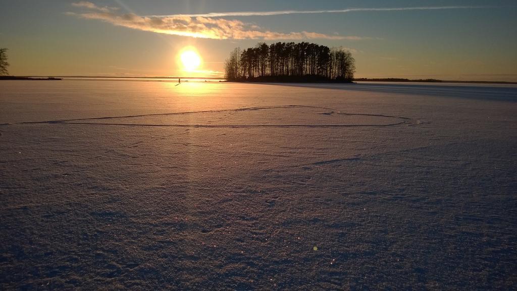 Koivuniemi Cottage Säkylä Exteriér fotografie