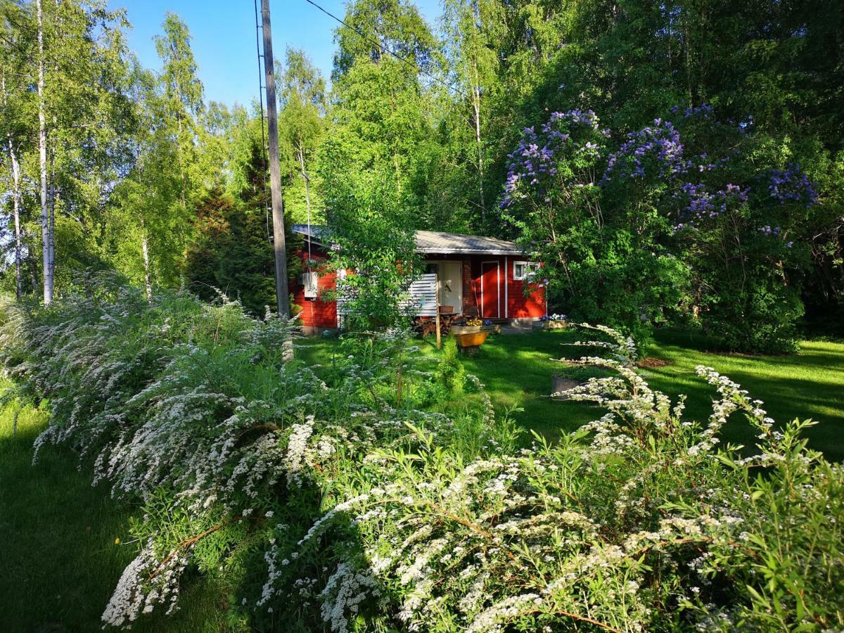 Koivuniemi Cottage Säkylä Exteriér fotografie