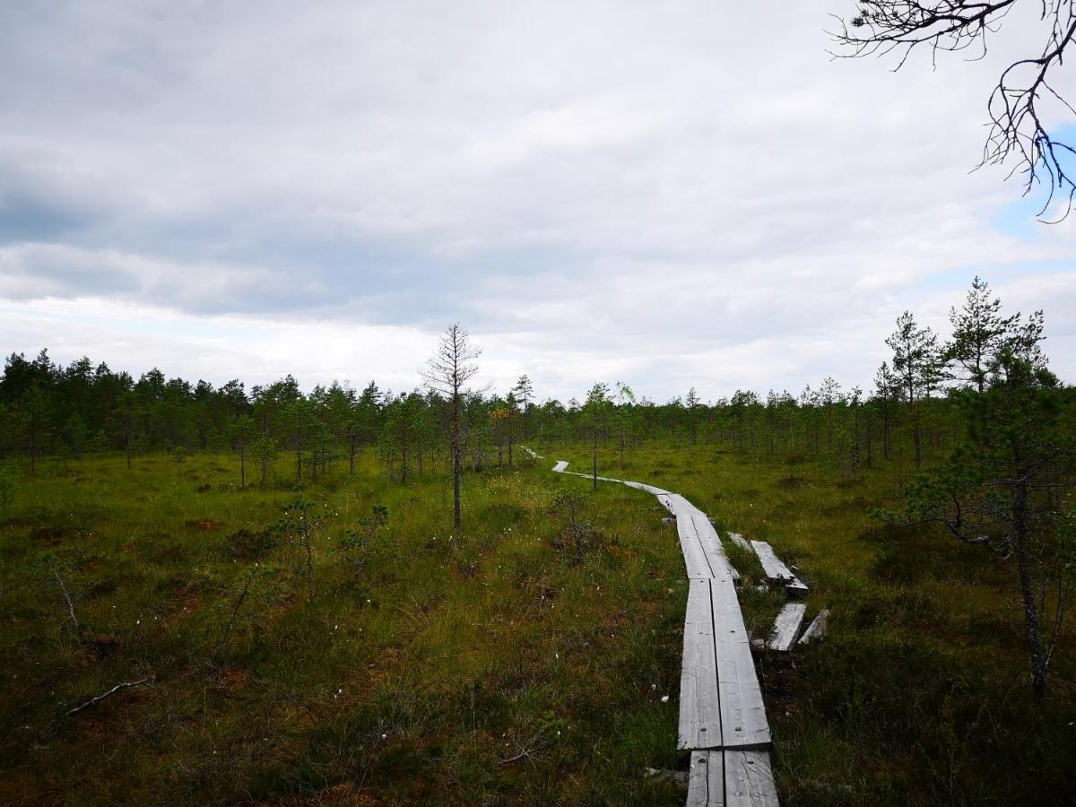 Koivuniemi Cottage Säkylä Exteriér fotografie